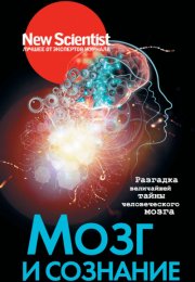 New Scientist. Лучшее от экспертов журнала . Мозг и сознание. Разгадка величайшей тайны человеческого мозга - Статей Сборник