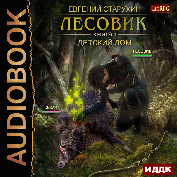 Лесовик. Книга 1. Детский дом - Старухин Евгений