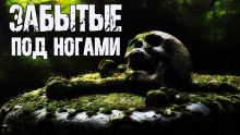 Забытые под ногами - Ольга Морган
