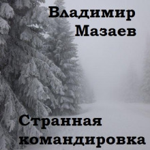Странная командировка - Владимир Мазаев