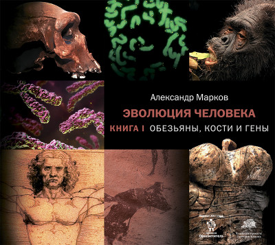 Эволюция человека. Книга 1. Обезьяны, кости и гены - Марков Александр В.