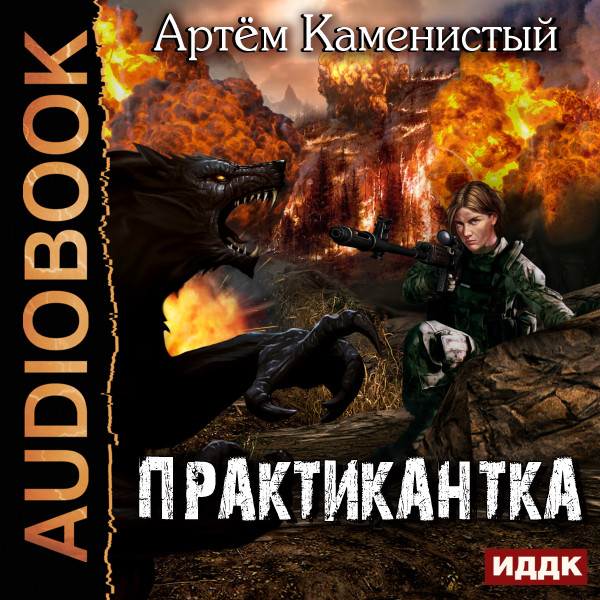 Практикантка. Книга 1 - Каменистый Артем