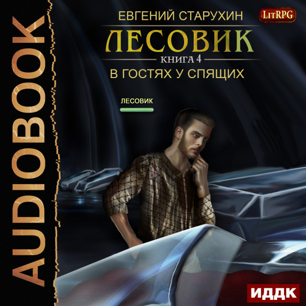 Лесовик. Книга 4. В гостях у спящих - Старухин Евгений