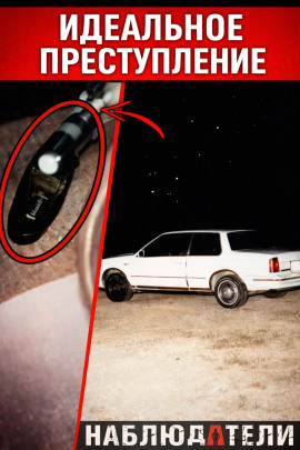 Идеальная подстава почти сработала - Автор неизвестен