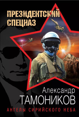 Ангелы сирийского неба - Александр Тамоников