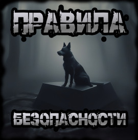 Правила безопасности -                   Иван Чулкин